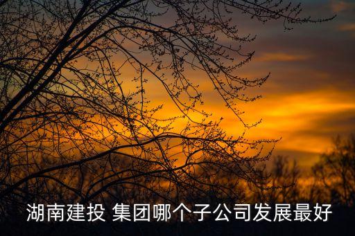 湖南建投 集團哪個子公司發展最好