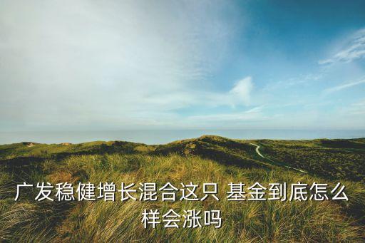 廣發穩健增長混合這只 基金到底怎么樣會漲嗎