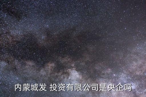 內蒙古金牛投資經營有限責任公司