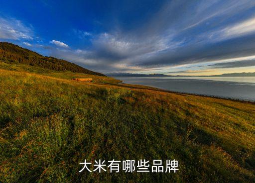 中國大米貿易,大米貿易的利潤