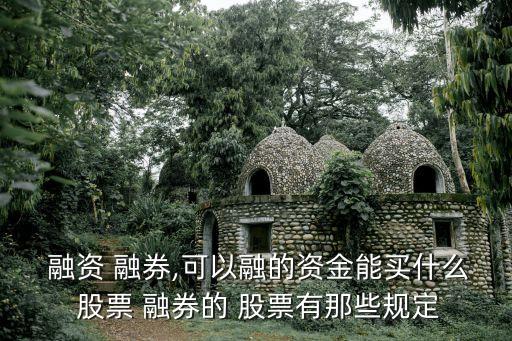  融資 融券,可以融的資金能買什么 股票 融券的 股票有那些規定