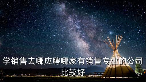 學銷售去哪應聘哪家有銷售專業的公司比較好