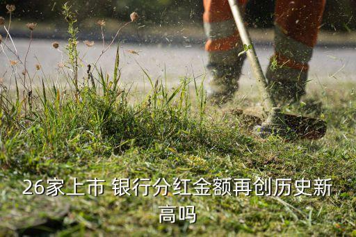 26家上市 銀行分紅金額再創歷史新高嗎