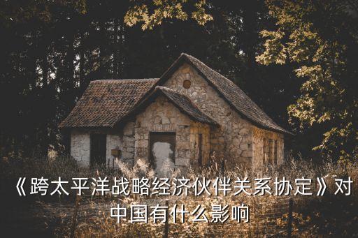 《跨太平洋戰略經濟伙伴關系協定》對中國有什么影響