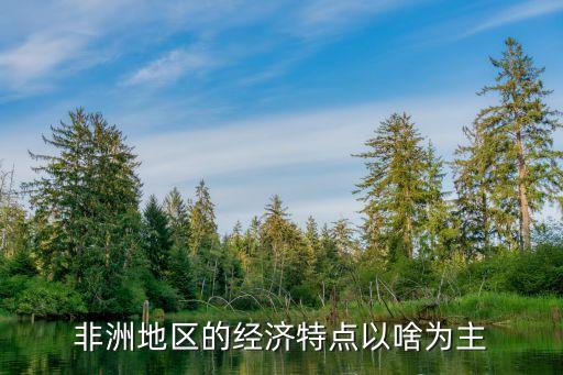 非洲地區的經濟特點以啥為主