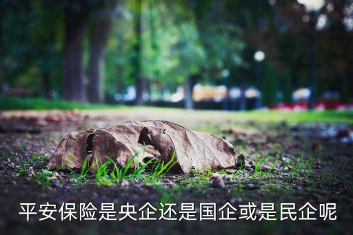 平安保險公司是不是國有企業