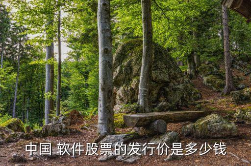 中國 軟件股票的發行價是多少錢