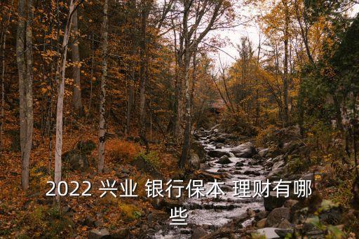 興業銀行安邦理財產品,2022興業銀行最好的理財產品