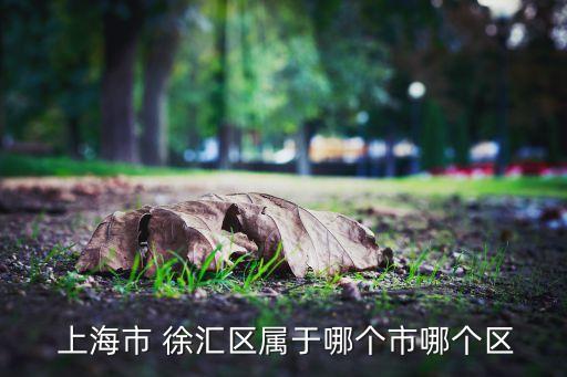  上海市 徐匯區屬于哪個市哪個區