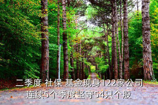 二季度 社保 基金現身122家公司連續5個季度堅守54只個股