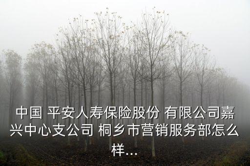 中國 平安人壽保險(xiǎn)股份 有限公司嘉興中心支公司 桐鄉(xiāng)市營(yíng)銷服務(wù)部怎么樣...