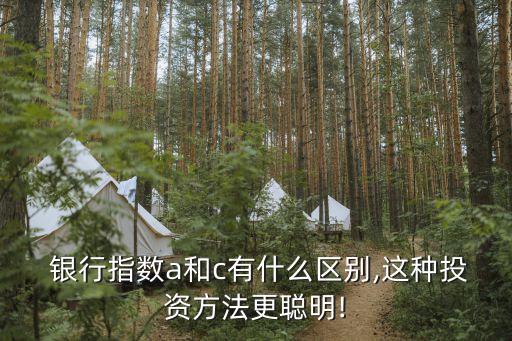  銀行指數a和c有什么區別,這種投資方法更聰明!
