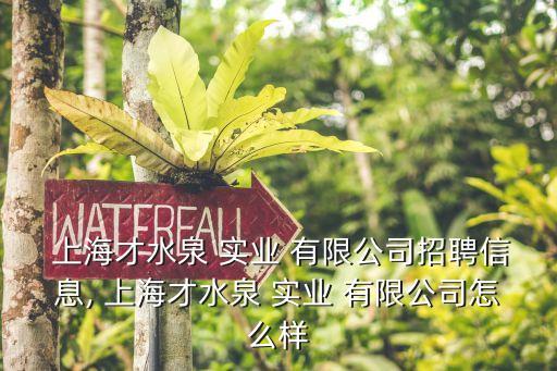 上海實泉實業有限公司,上海六泉實業發展有限公司
