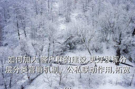 如何加大 客戶群的建設,更好發揮分層分類營銷機制、公私聯動作用,拓寬...
