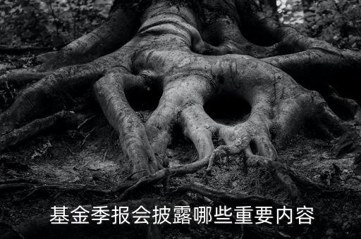  基金季報會披露哪些重要內容