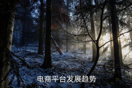  電商平臺發展趨勢