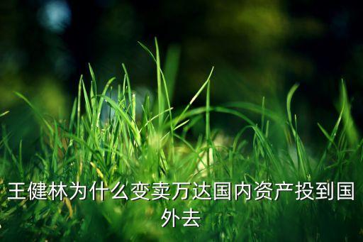 王健林為什么變賣萬達國內資產投到國外去