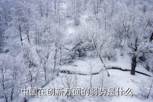 中國企業創新能力