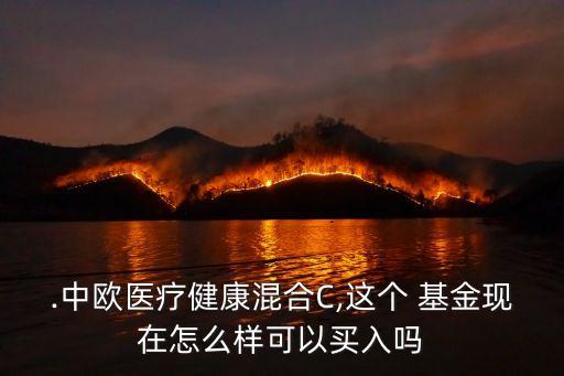 .中歐醫療健康混合C,這個 基金現在怎么樣可以買入嗎