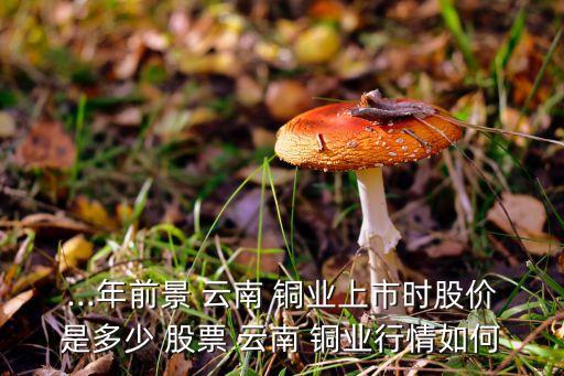 股票云南銅業,云南銅業股票股吧