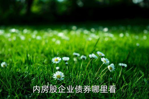 公司債信息查詢(xún),深交所公司債項(xiàng)目信息查詢(xún)