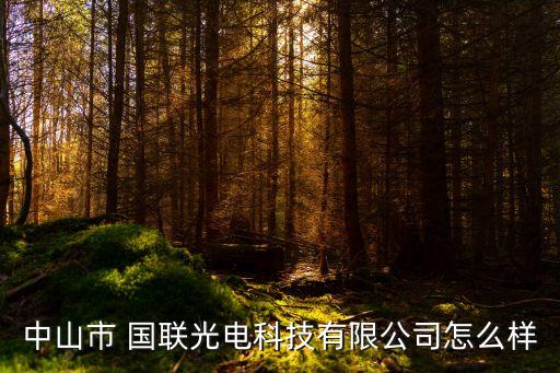 廣東國聯投資,國聯投資發展有限公司
