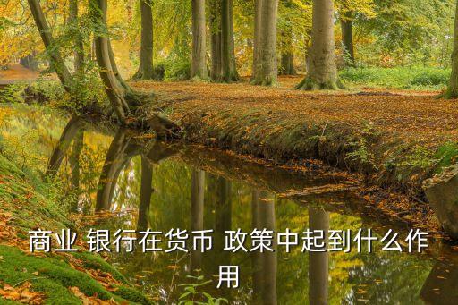 商業 銀行在貨幣 政策中起到什么作用