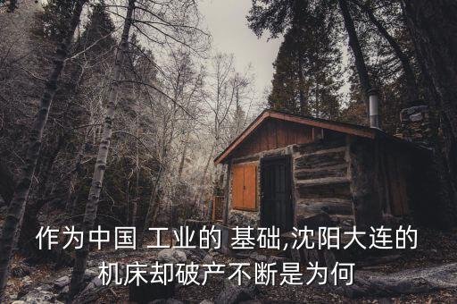 中國基礎工業