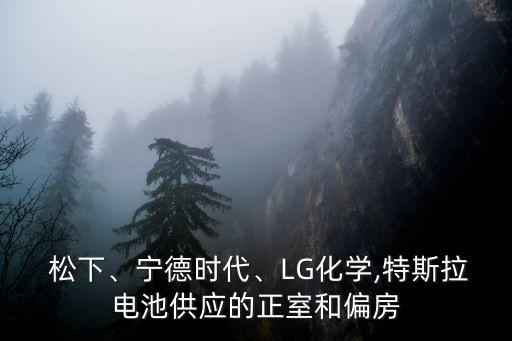  松下、寧德時代、LG化學,特斯拉電池供應的正室和偏房