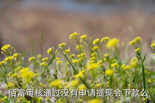 佰富審核通過沒有申請提現會下款么