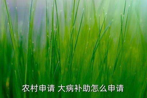 農村申請 大病補助怎么申請