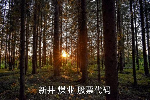 新井 煤業 股票代碼