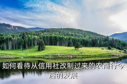 如何看待從信用社改制過來的農商行今后的發展