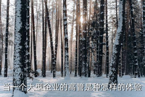 當一個大型企業的高管是種怎樣的體驗