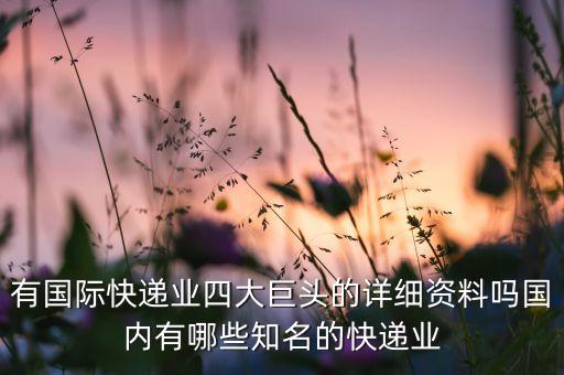 有國際快遞業四大巨頭的詳細資料嗎國內有哪些知名的快遞業