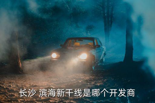 長沙 濱海新干線是哪個開發商