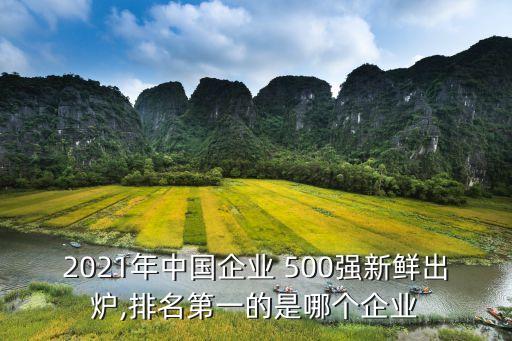中國500強企業家俱樂部,中國HRO企業家俱樂部