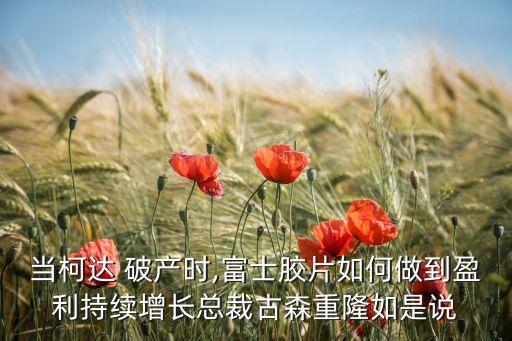 柯達公司破產,柯達破產原因論文