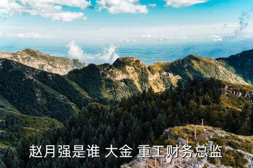 趙月強是誰 大金 重工財務總監