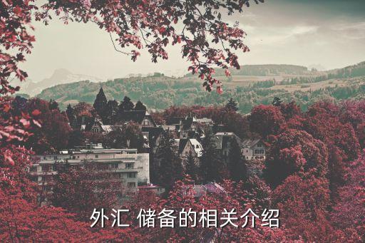 2000年中國外匯儲(chǔ)備,1999年中國外匯儲(chǔ)備