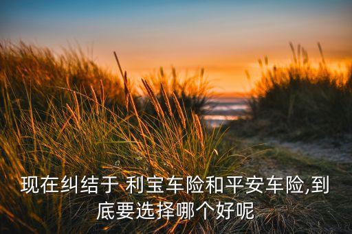現在糾結于 利寶車險和平安車險,到底要選擇哪個好呢