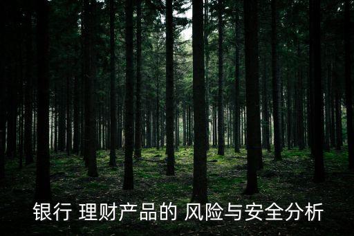  銀行 理財產品的 風險與安全分析