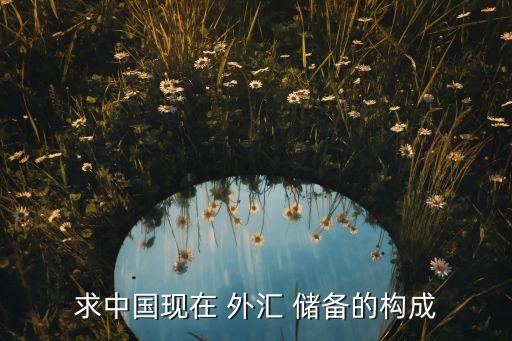 求中國現在 外匯 儲備的構成