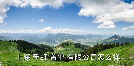  上海 孚虹 置業 有限公司怎么樣