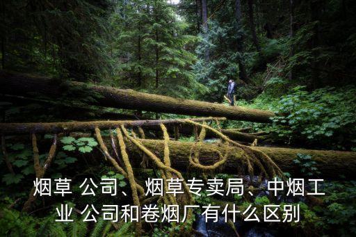  煙草 公司、 煙草專賣局、中煙工業(yè) 公司和卷煙廠有什么區(qū)別