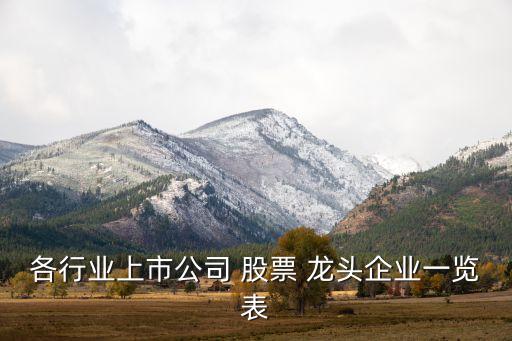 各行業上市公司 股票 龍頭企業一覽表