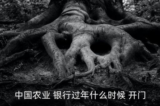 中國農業 銀行過年什么時候 開門