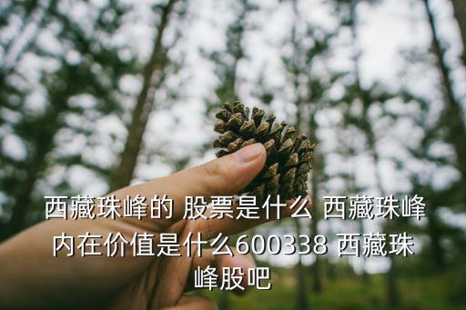 西藏空氣股票,西藏發展股票股吧