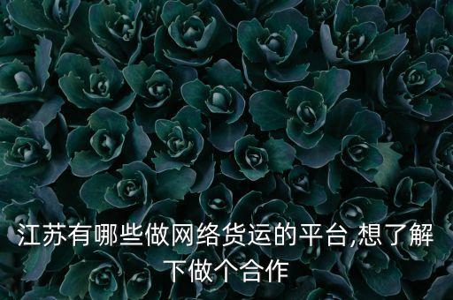 江蘇有哪些做網絡貨運的平臺,想了解下做個合作