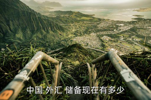 中國 外匯 儲備現在有多少